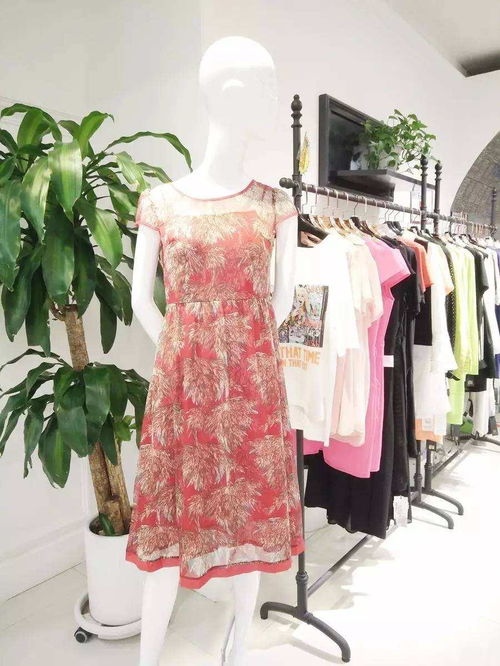 慧蘭女裝 優雅風尚，演繹東方女性的獨特魅力